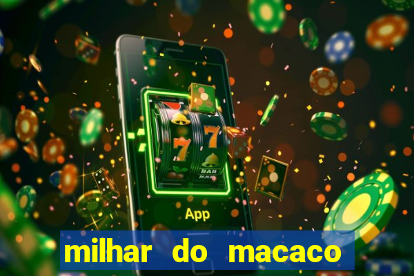 milhar do macaco que mais saem no jogo do bicho