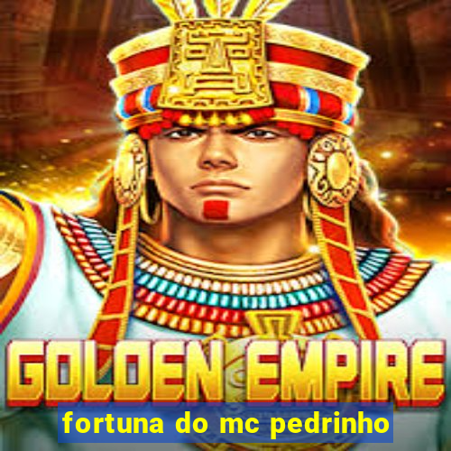 fortuna do mc pedrinho