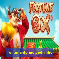 fortuna do mc pedrinho