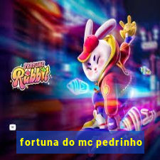 fortuna do mc pedrinho