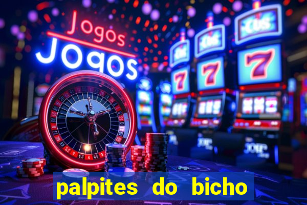 palpites do bicho no celular