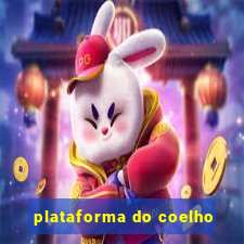 plataforma do coelho