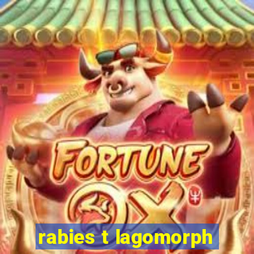 rabies t lagomorph