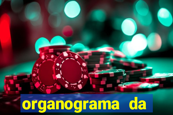 organograma da cacau show