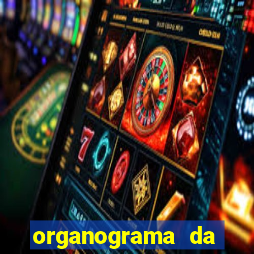 organograma da cacau show