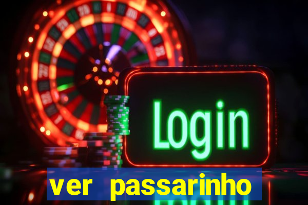 ver passarinho morto significado