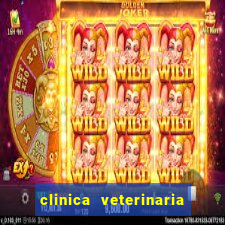 clinica veterinaria cuidar betim