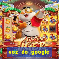 voz do google tradutor homem