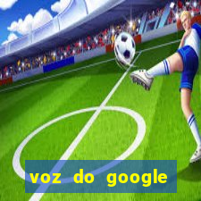 voz do google tradutor homem