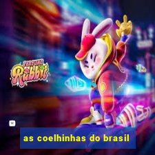 as coelhinhas do brasil