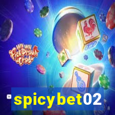 spicybet02