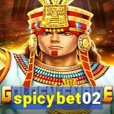 spicybet02