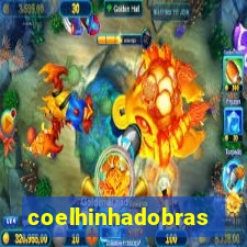 coelhinhadobrasil