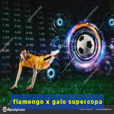 flamengo x galo supercopa