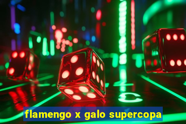 flamengo x galo supercopa