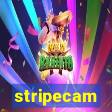 stripecam