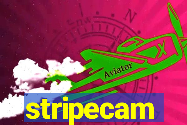 stripecam