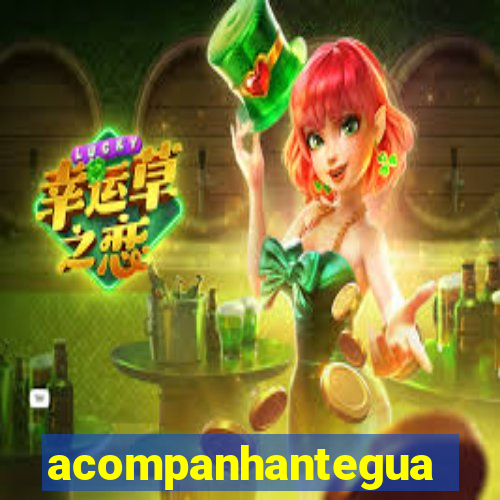 acompanhanteguanambi