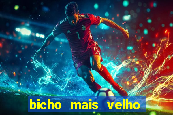 bicho mais velho da loteria dos sonhos