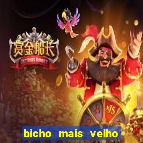 bicho mais velho da loteria dos sonhos