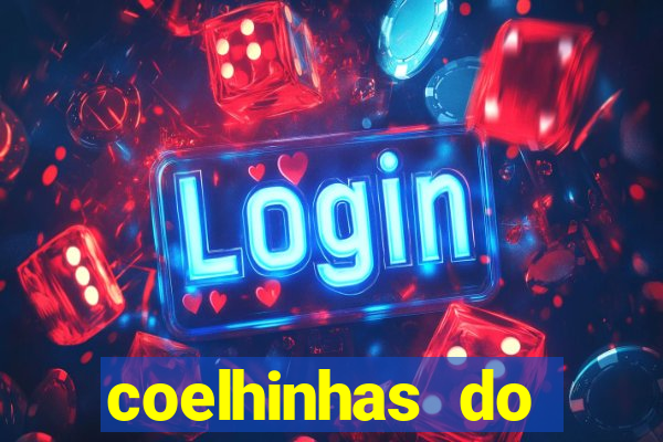 coelhinhas do brasil acompanhantes