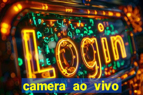 camera ao vivo terminal vila nova cachoeirinha