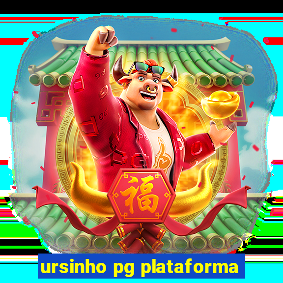 ursinho pg plataforma