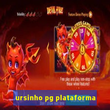 ursinho pg plataforma