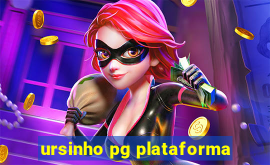 ursinho pg plataforma