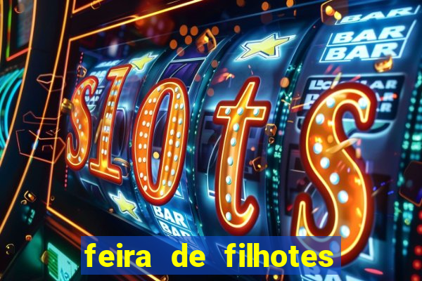 feira de filhotes porto alegre