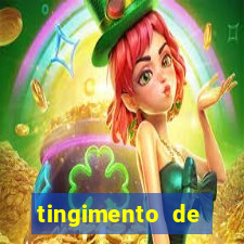 tingimento de roupas porto alegre