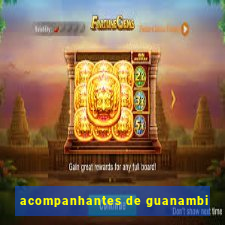 acompanhantes de guanambi