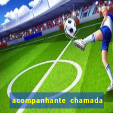 acompanhante chamada de video