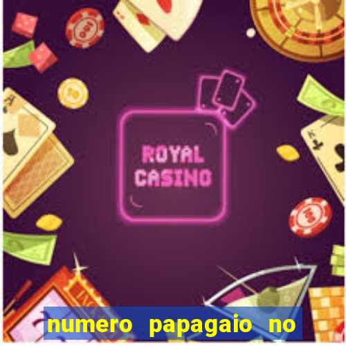 numero papagaio no jogo do bicho