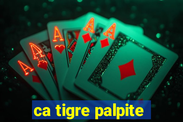 ca tigre palpite