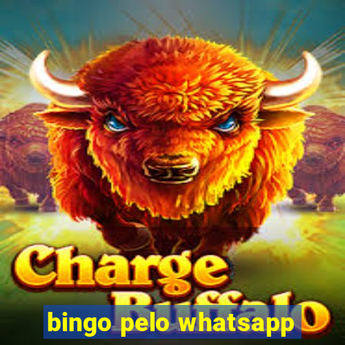 bingo pelo whatsapp