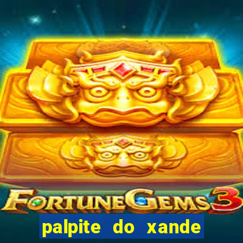 palpite do xande para hoje