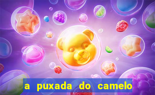 a puxada do camelo no jogo do bicho