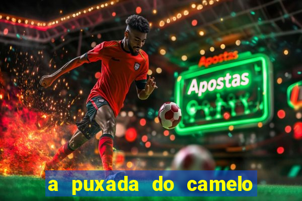 a puxada do camelo no jogo do bicho