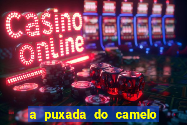 a puxada do camelo no jogo do bicho