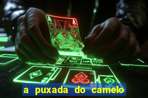 a puxada do camelo no jogo do bicho