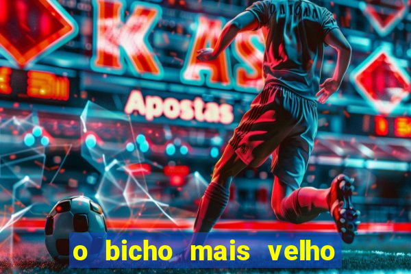 o bicho mais velho da loteria dos sonhos