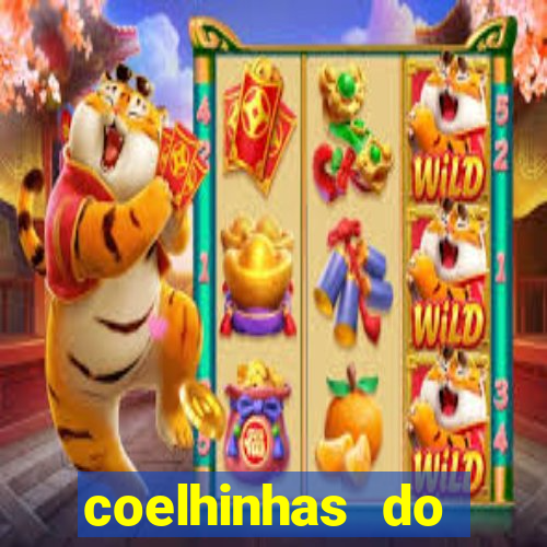 coelhinhas do brasil jp