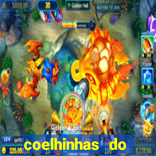 coelhinhas do brasil jp