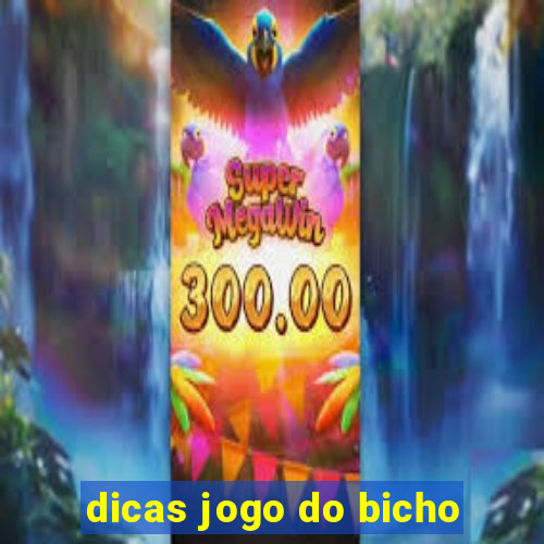 dicas jogo do bicho