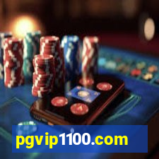 pgvip1100.com