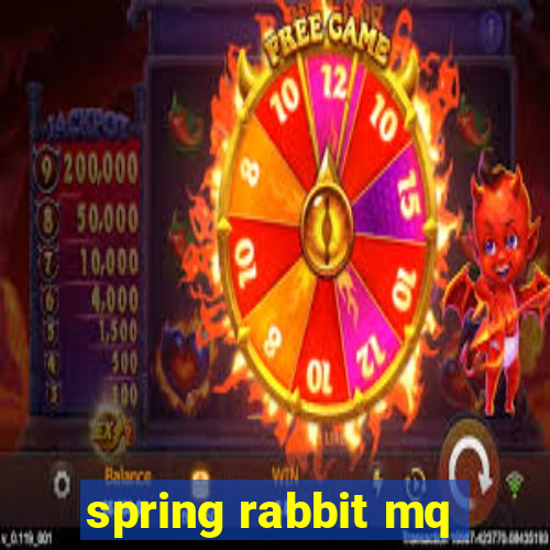 spring rabbit mq