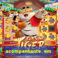 acompanhante em feira de santana