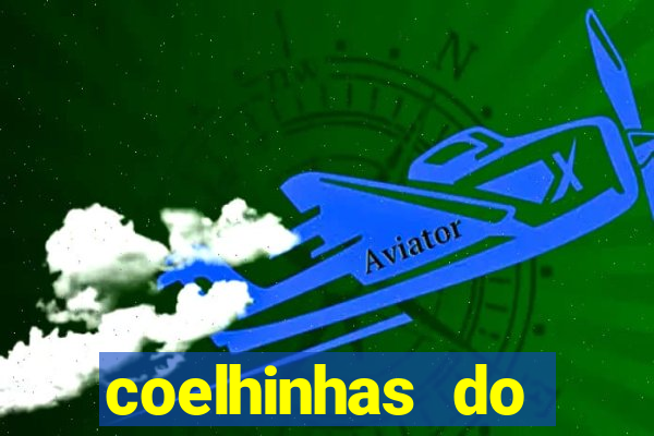 coelhinhas do brasil recife