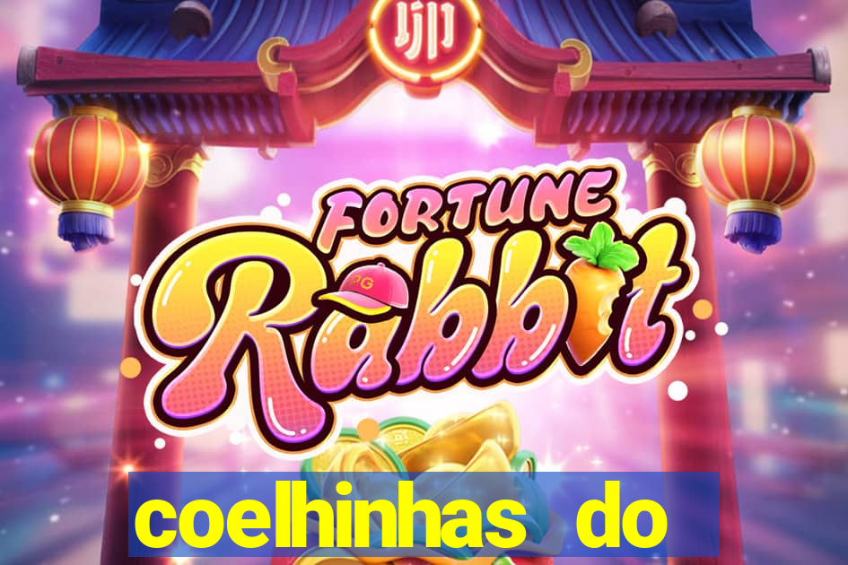 coelhinhas do brasil recife